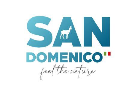 Logo San Domenico Ski